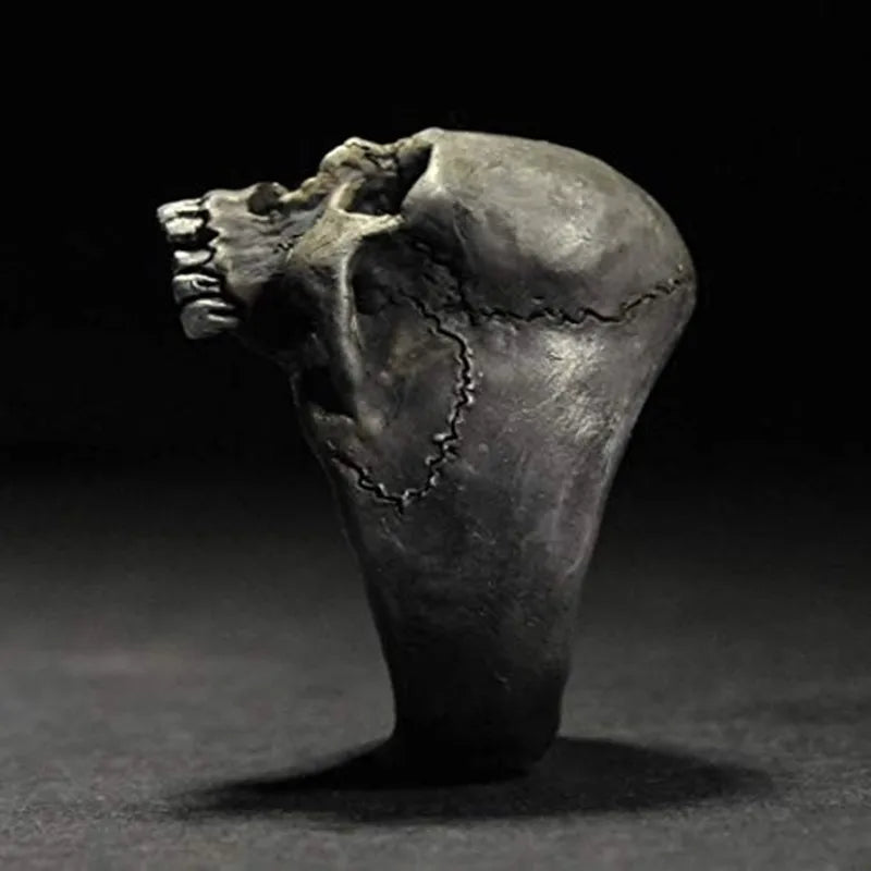 Men's Punk Skull Ring – Stainless Steel Gothic Biker Jewelry